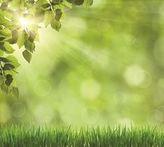 RISCHIO AMBIENTALE, PIÙ ATTENZIONE  DA PARTE DELLE AZIENDE EUROPEE