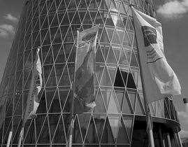 A TUTELA DEL MODELLO DI BUSINESS