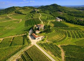 UN BRINDISI COL VINO DI GENAGRICOLA