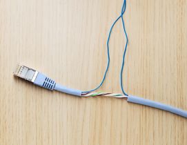 UNA RIVOLUZIONE IN EVOLUZIONE