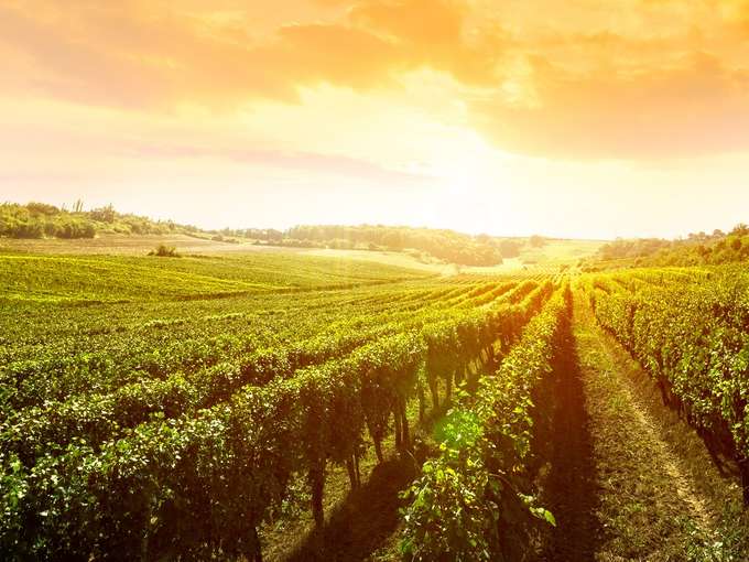 IL CLIMA CAMBIA? PROTEGGIAMO LA GREEN ECONOMY