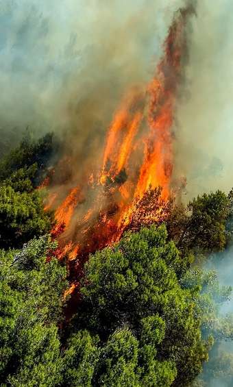MAGISTRATURA E PERITI INCENDIO: AMPIO SPAZIO ALLA COLLABORAZIONE 