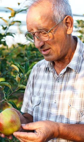 ESODATI, APE E RITA: UNA STORIA INFINITA 