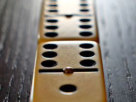 IL LEONE NON CAMBIA STRADA