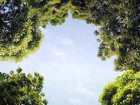 LA FINANZA SOSTENIBILE SECONDO INTESA SANPAOLO