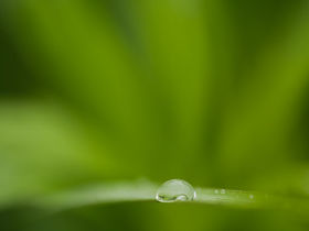 COVID-19, LA MEDICINA DELLA FINANZA SOSTENIBILE