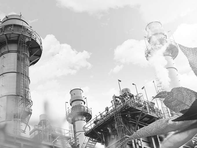 GOVERNANCE, COMPAGNIE ALLA SFIDA DELLA SOSTENIBILITÀ