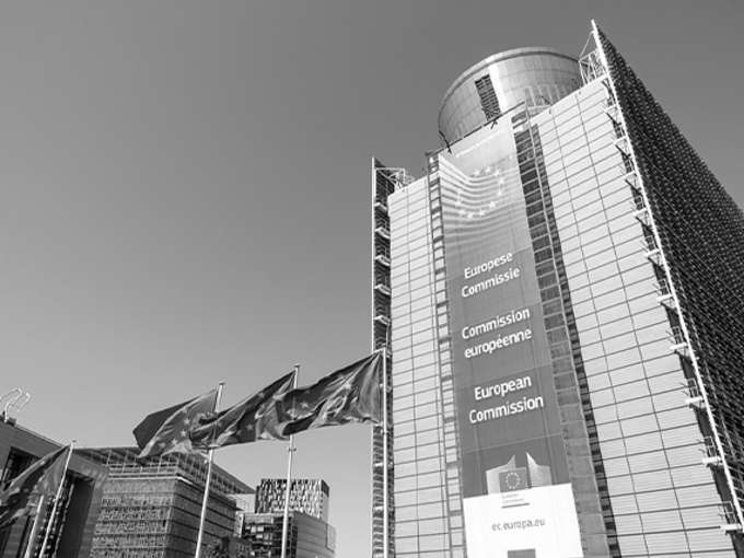 RIS, TUTTE LE NOVITÀ DOPO L’ADOZIONE