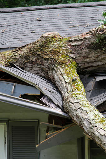 IL RUOLO DEL LOSS ADJUSTER NELLA RICOSTRUZIONE POST-CALAMITÀ 