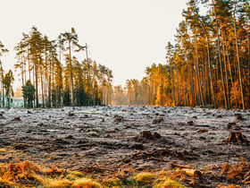CLIMA, COMPAGNIE IN PRIMA LINEA