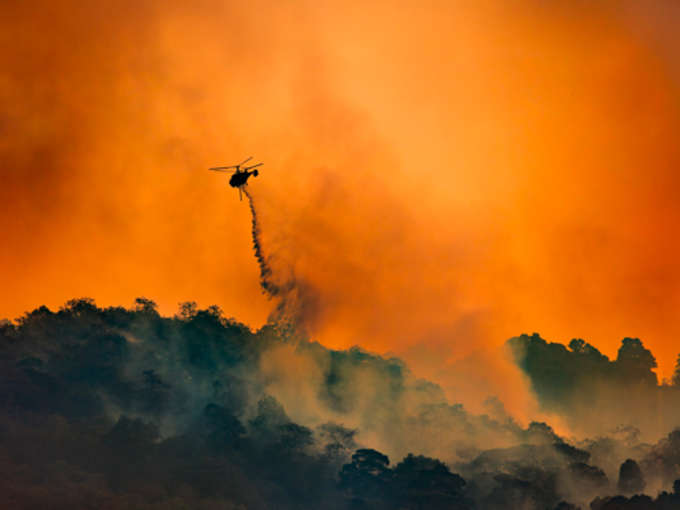 INCENDI BOSCHIVI E ASSICURAZIONE: L’EFFETTO DOMINO SULL’ECONOMIA LOCALE