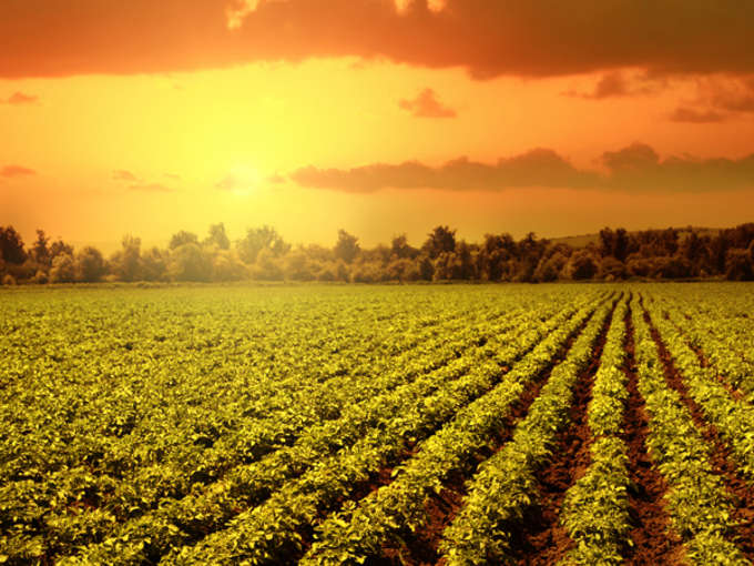 AGRICOLTURA, ANIA E AGEA INSIEME CONTRO LE FRODI