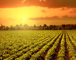 agricoltura-ania-e-agea-insieme-contro-le-frodi